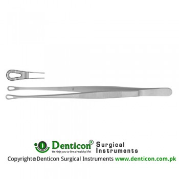 Singley-Tuttle Dissecting Forceps Stainless Steel, 18 cm - 7"